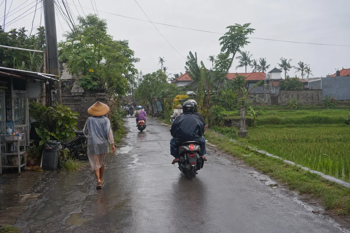Everyday wet-season routine on a Canggu neighborhood road